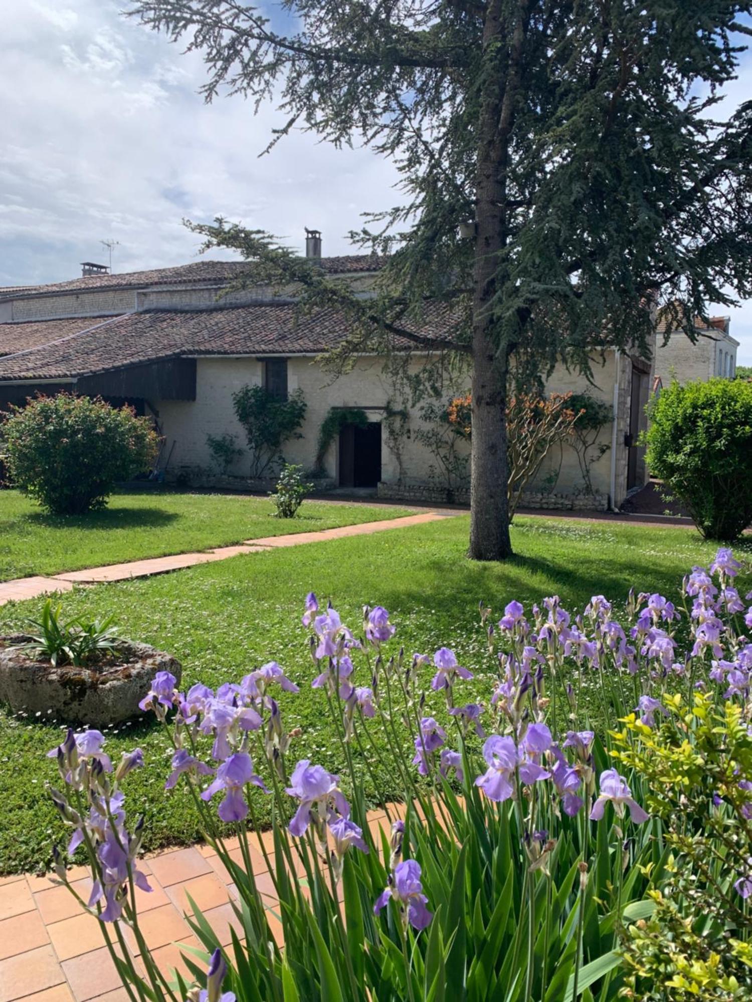 The Cool Lounge A Coulonges - Charente Acomodação com café da manhã Exterior foto